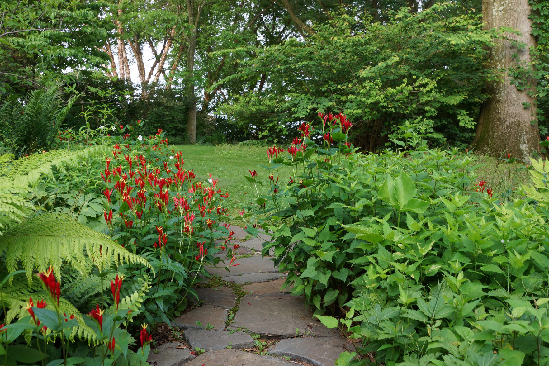 walkway